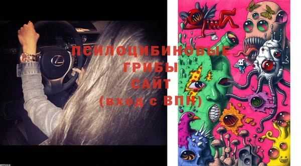 бошки Абинск