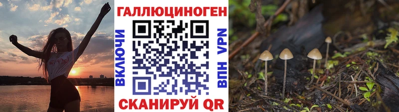 Галлюциногенные грибы Cubensis  МЕГА ТОР  Альметьевск 